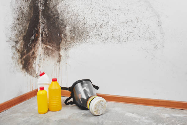 Best Office Mold Removal Services  in Edgar, WI