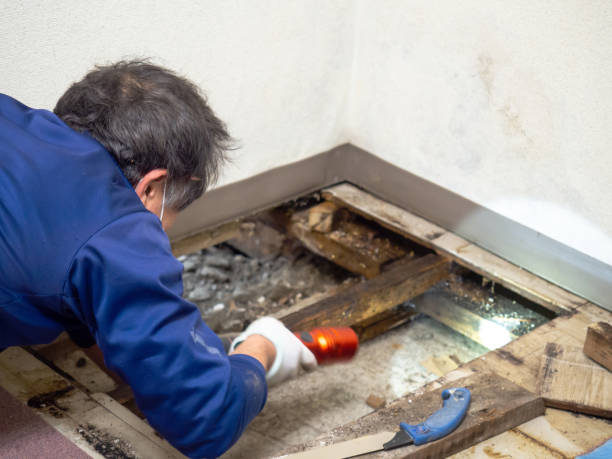 Best Mold Remediation Services  in Edgar, WI