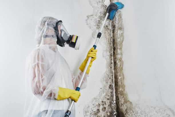 Best Crawl Space Mold Removal  in Edgar, WI
