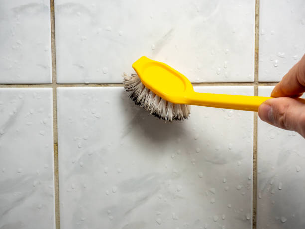 Best Mold Testing  in Edgar, WI
