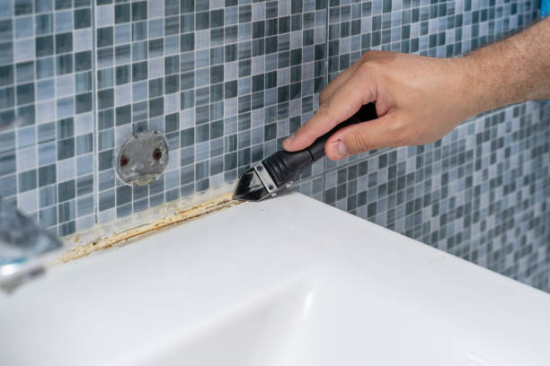 Best Local Mold Removal Service  in Edgar, WI