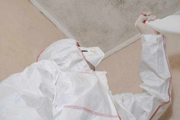 Best Residential Mold Removal  in Edgar, WI