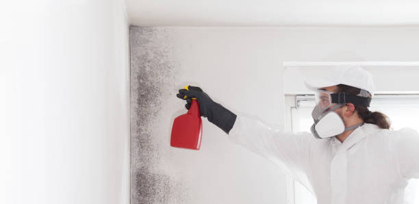 Best Professional Mold Removal  in Edgar, WI